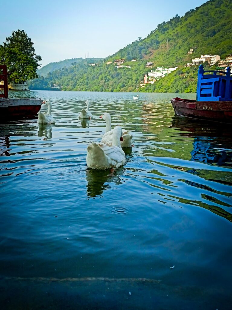 Hotel in Bhimtal