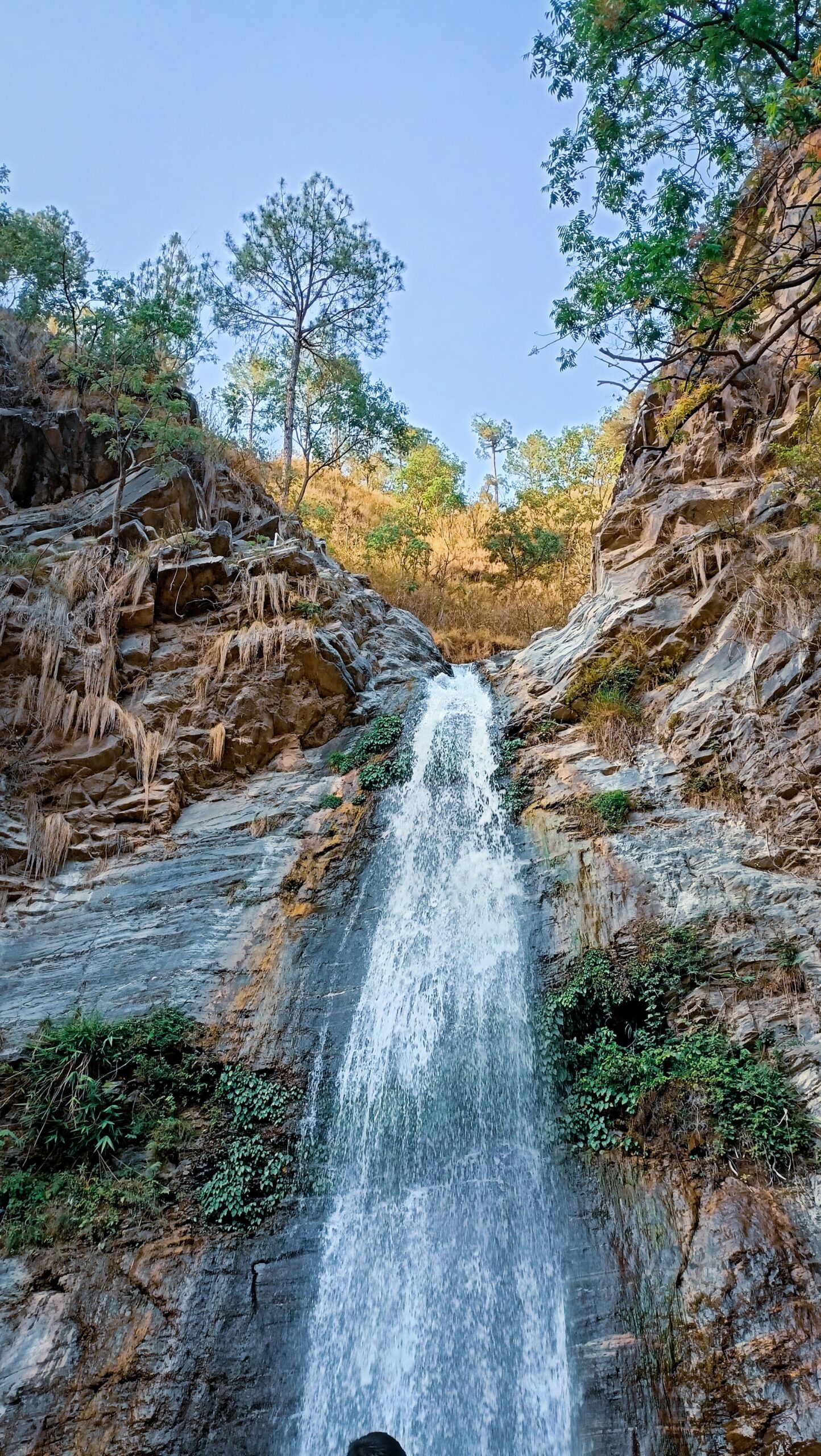 Dhokaney Waterfall Almora surrounded by lush greenery"