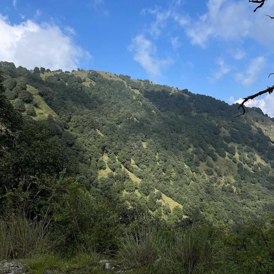 Benog Wildlife Sanctuary near Mussoorie with lush green trails and Himalayan views