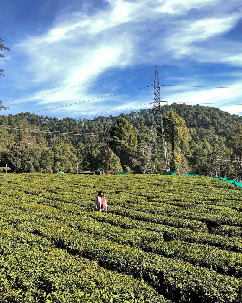 Ghorakhal Tea Garden