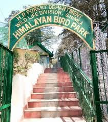 Himalayan Bird Park, Shimla