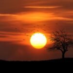 Top Ranikhet Sunset Points