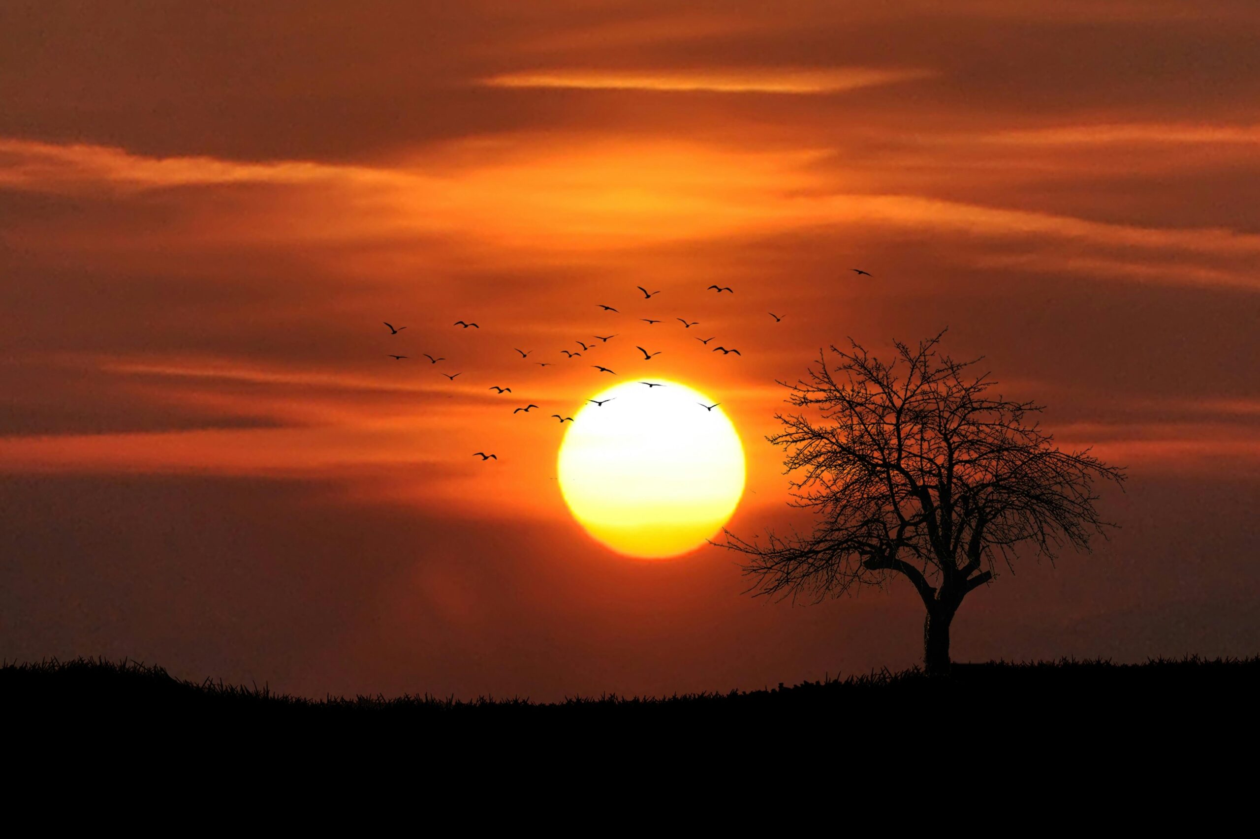 Top Ranikhet Sunset Points