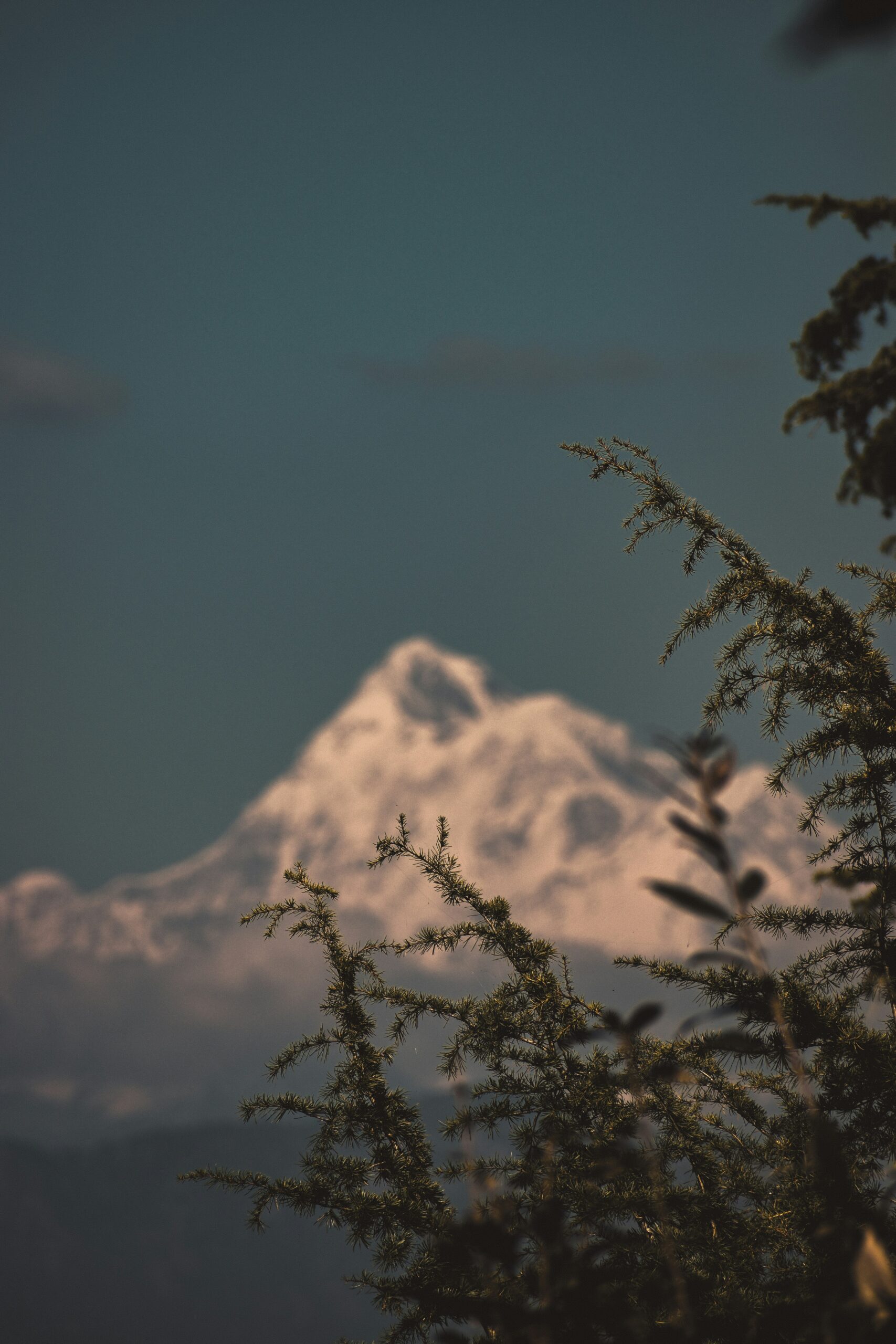 Ranikhet Monsoon Travel Tips